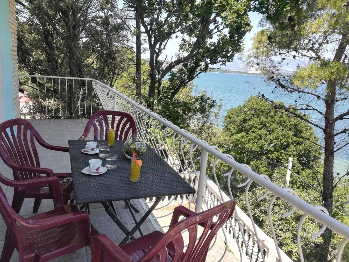 Apartman Volarevic Donji Karin Kültér fotó